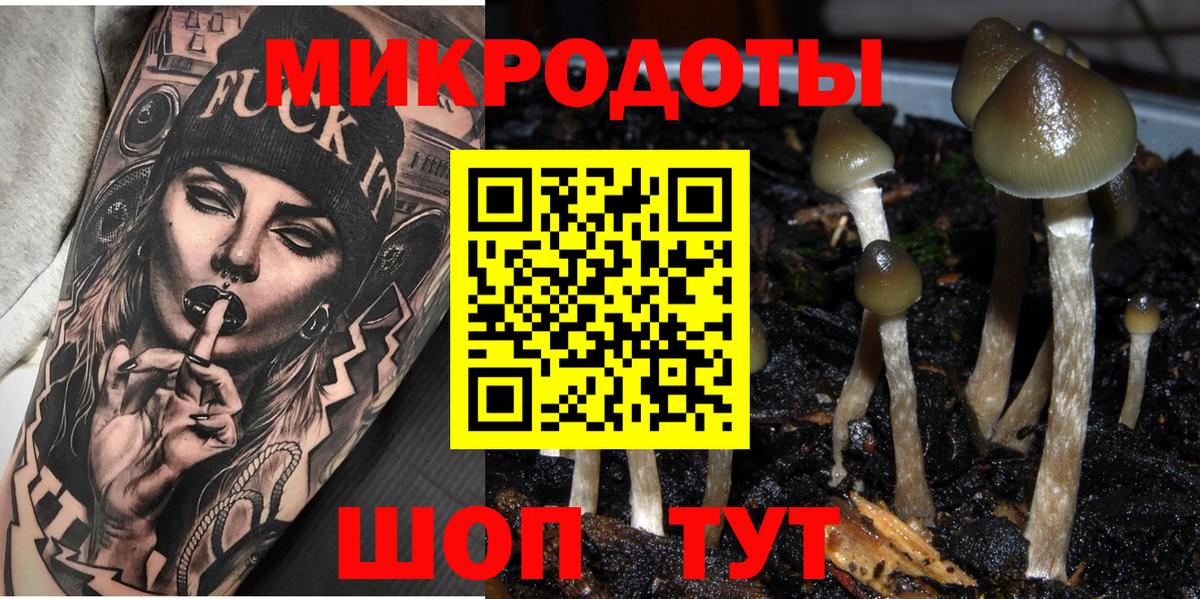 Псилоцибиновые грибы Psilocybe Назарово