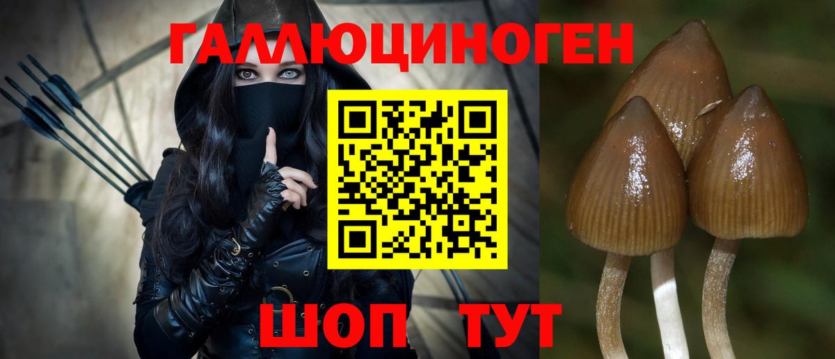 Псилоцибиновые грибы ЛСД  Вход с VPN  Галлюциногенные грибы Magic Shrooms  Назарово 